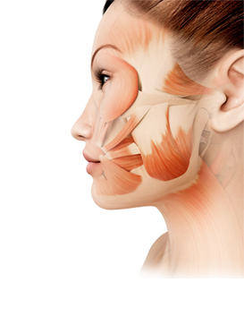Физиотерапевтическое лечение лицевых болей и патологий тройничного и лицевого нерва